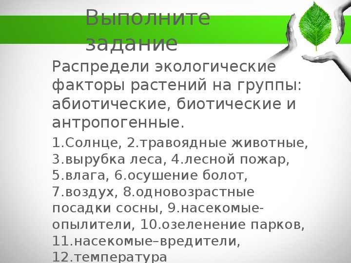 Осушение болот фактор. Рост и развитие растений 6 класс биология. Осушение болот какой экологический фактор. Биологические факторы роста и развития растений. Осушение болот абиотический фактор.