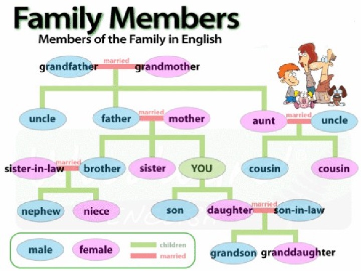 Презентация по английскому языку на тему "Family members"