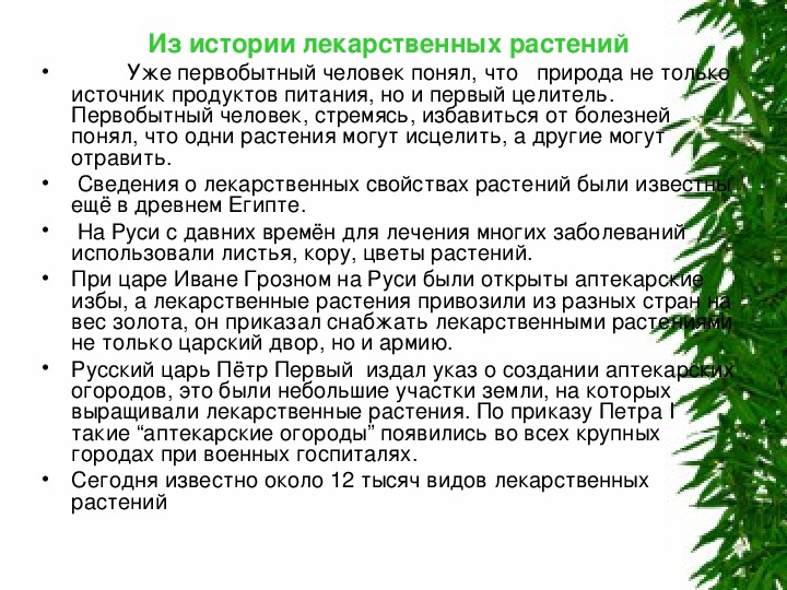 Проект на тему лекарственные растения 6 класс по биологии