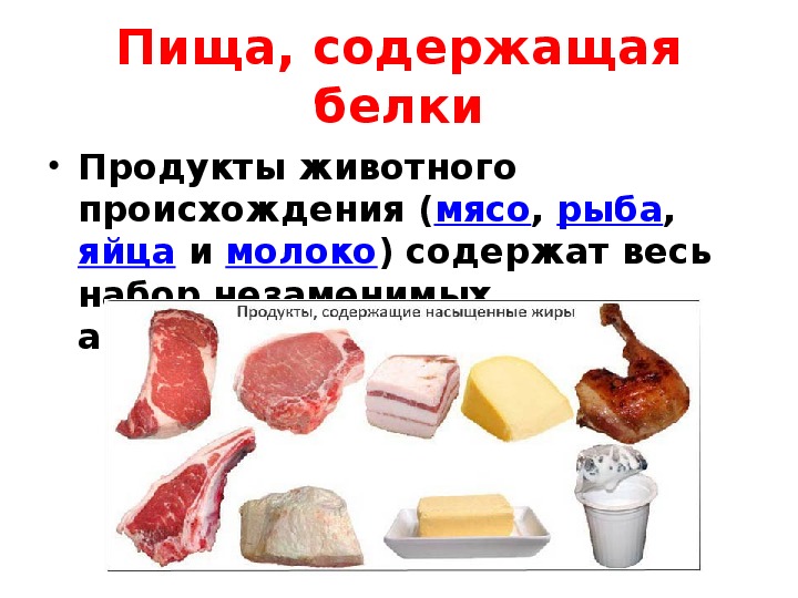 В каком мясе больше всего белков