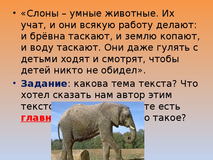 Читать про слона. Слоны Мудрые животные. Умные слоны. Доклад про слона 1 класс. Текст про слона.