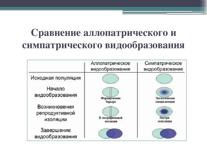 Презентация видообразование 10 класс пономарева - 95 фото