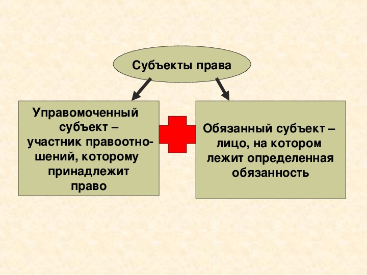 10 класс обществознание правоотношения и правонарушения презентация