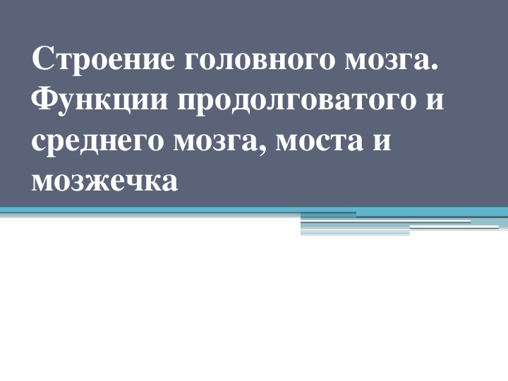 Презентация по биологии на тему "Строение головного мозга." (8 класс, биология)