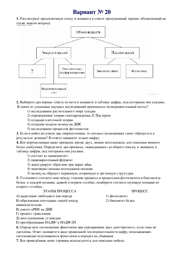 ЕГЭ. Биология. Вариант № 20