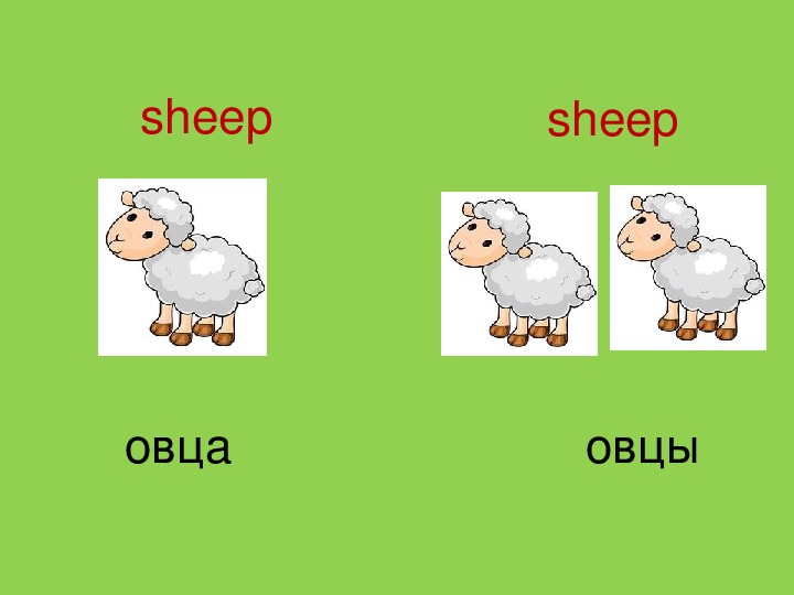 Слово sheep