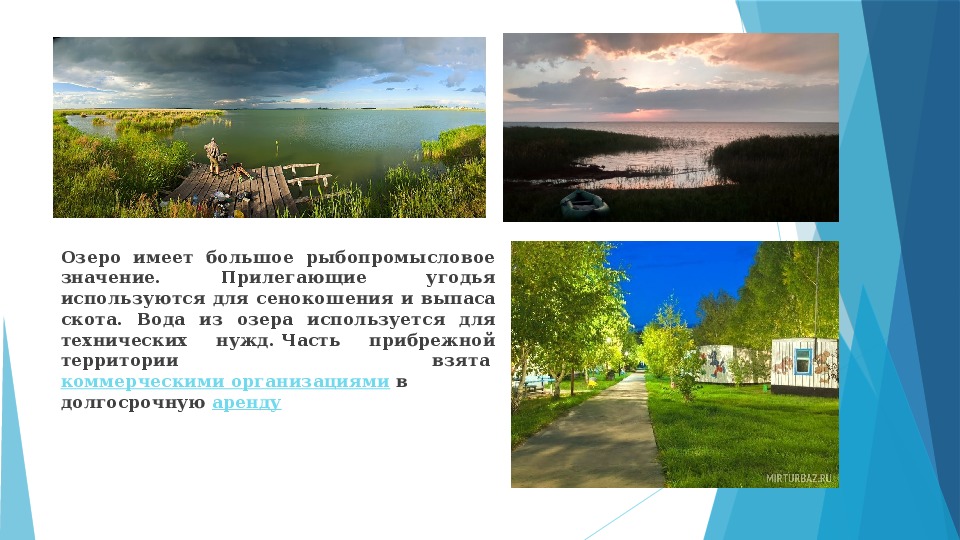 Как человек использует озера. Озеро Чаны презентация. Озеро Чаны легенды. Мифы о озере Чаны. Чудовище в озере Чаны Новосибирской области.