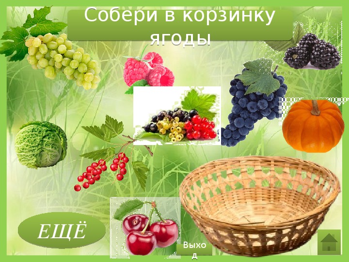 Ягоды собери сам. Собери ягоды в лукошко. Собери ягоды в корзину. Собери ягоды в корзинку. Игра Собери ягоды в корзинку.