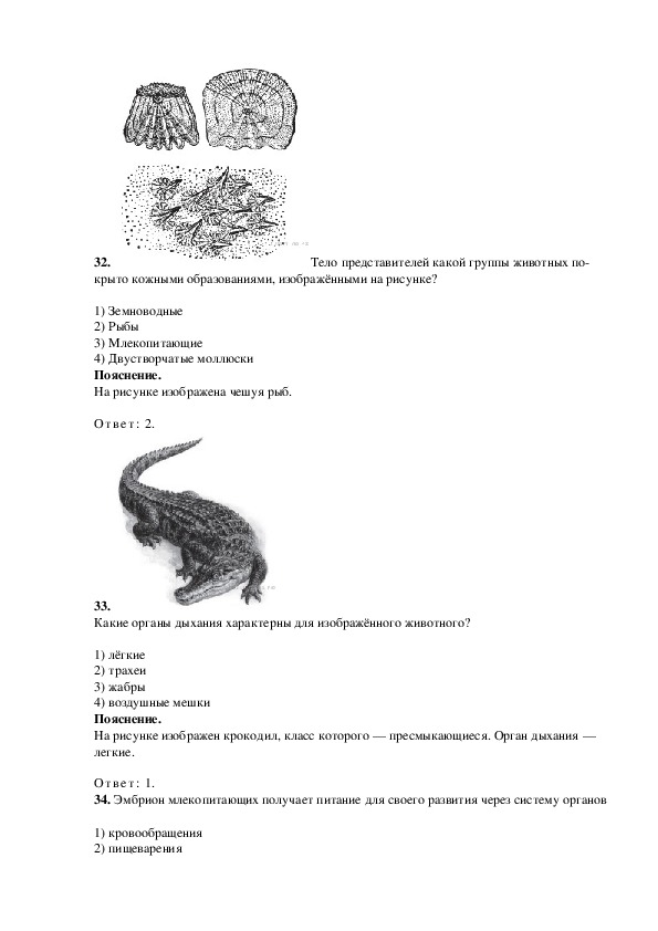 Какие признаки характерны для животного изображенного на рисунке