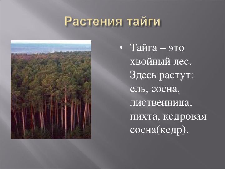 Презентация зона лесов 4 класс окружающий мир