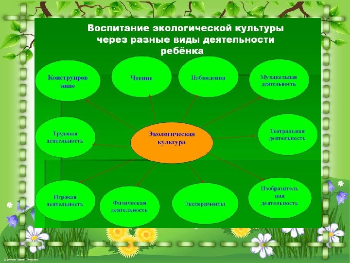 Формирование экологической культуры