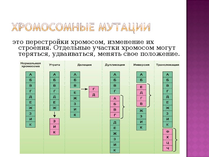 Изменения в хромосомах. Хромосомные перестройки дупликации. Типы хромосомных перестроек. Перестройка хромосом. Хромосомные перестройки виды.