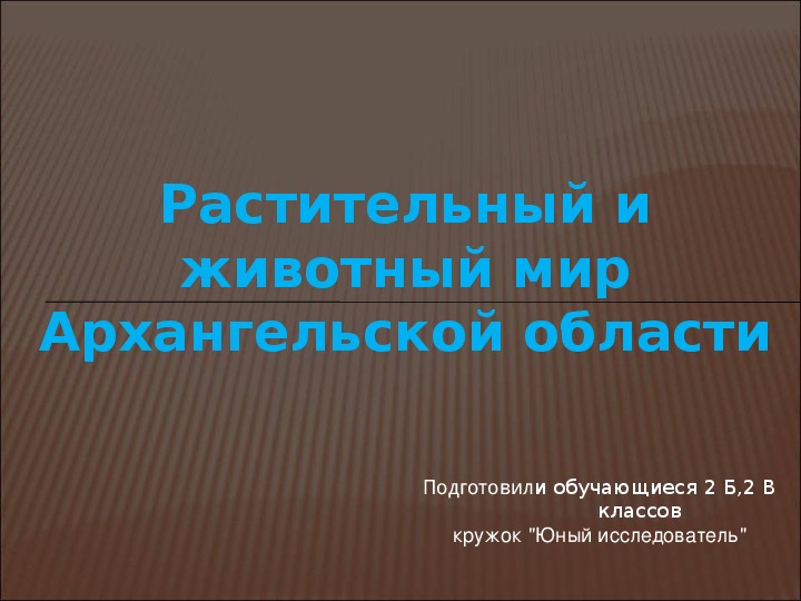 Презентация "Растительный и животный мир Архангельской области"