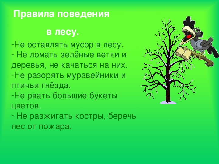 Презентация лес 2 класс. Лес-наше богатство презентация. Лес для презентации. Проект лес наше богатство. Лес наше богатство для дошкольников.