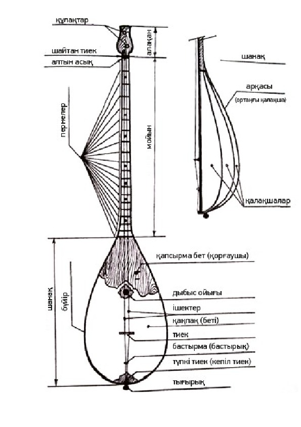 Домбыраның ішегі мен тегі қандай болады. Структура домбры. Строение домбыры. Домбра чертежи. Конструкция домбры.