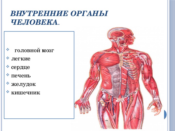 Как раскрыть человека