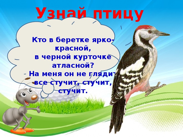 Кто такие птицы. Презентация кто такие птицы 1 класс. Кто такие птицы 1 класс школа России. Кто такие птицы 1 класс презентация школа России презентация. Проект кто такие птицы 1 класс.