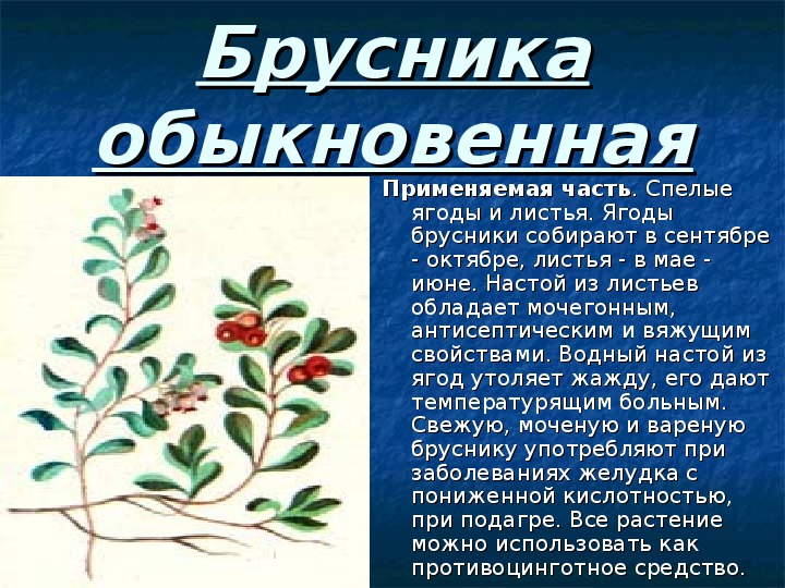 Лекарственные растения вологодской области презентация