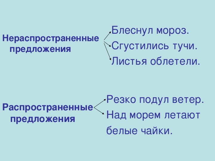 В распространенном предложении есть