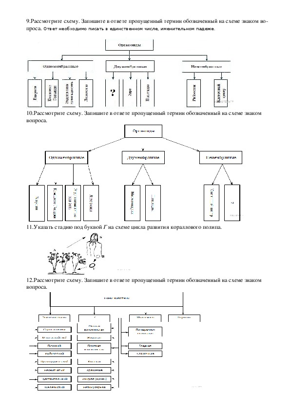Биологические термины таблица. ЕГЭ биология схемы. Задание номер 1 биология ЕГЭ. 1 Задание ЕГЭ биология. Термины по биологии для ЕГЭ.