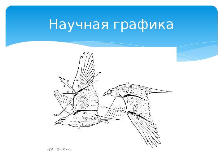 Информационное обеспечение судебной деятельности презентация