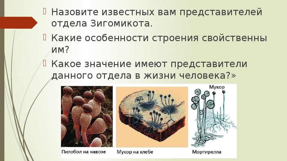 Какие особенности называют