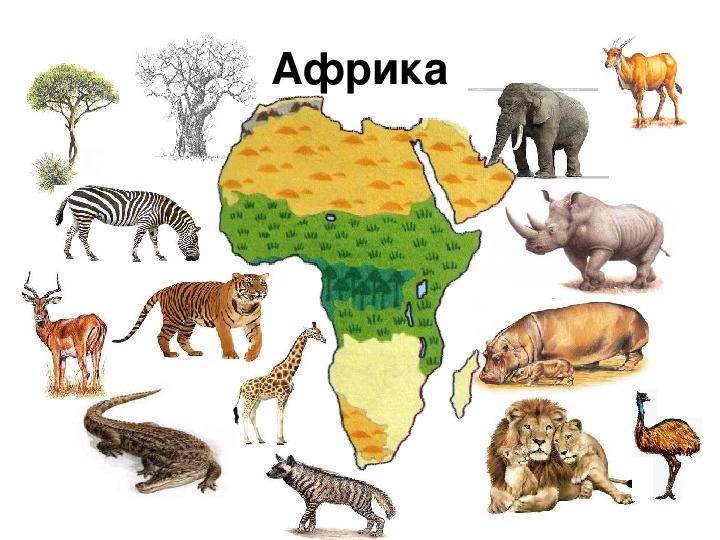 Африки животный география. Животные разных континентов. Животные на материках. Материк с изображениями животных. Животных разных контингентов.