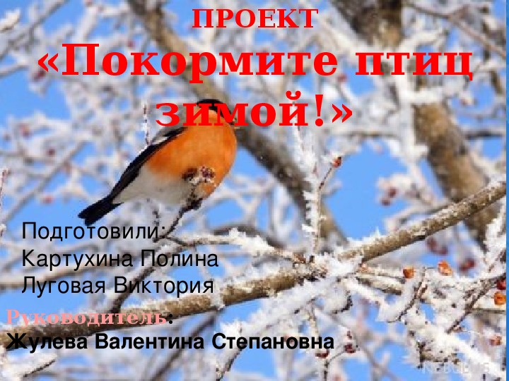 Презентация "Покормите птиц зимой"