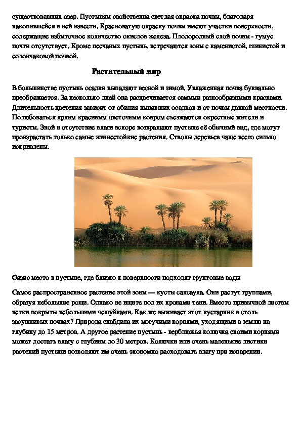 Описание пустыни. Природная зона пустыня 6 класс. Зона пустынь характеристика по плану.