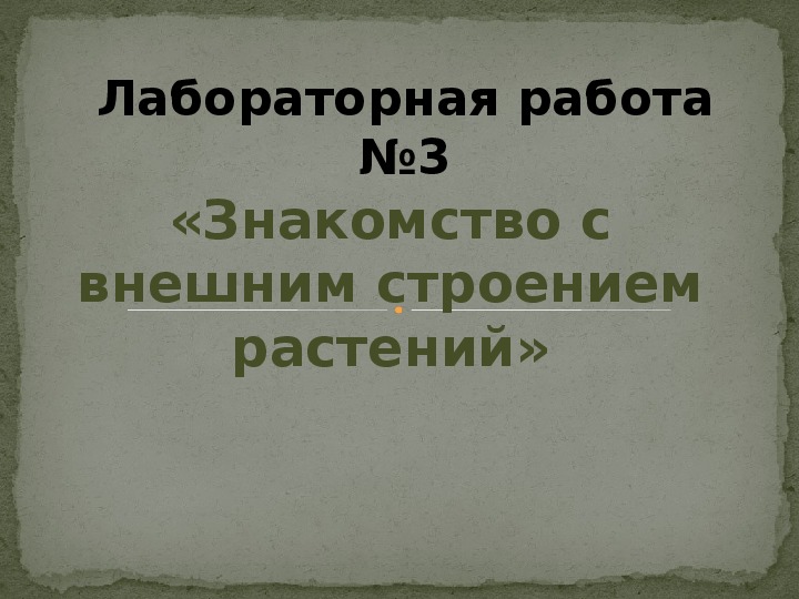 Презентация по биологии "Знакомство с внешним строением растения" с элементом лабораторной работы (5 класс)