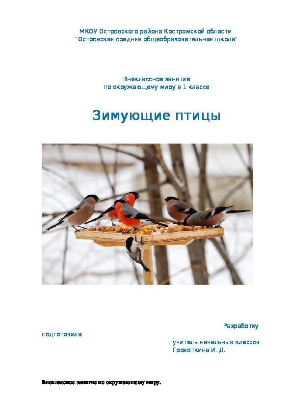 Внеклассное мероприятие по окружающему миру "Зимующие птицы" 1класс