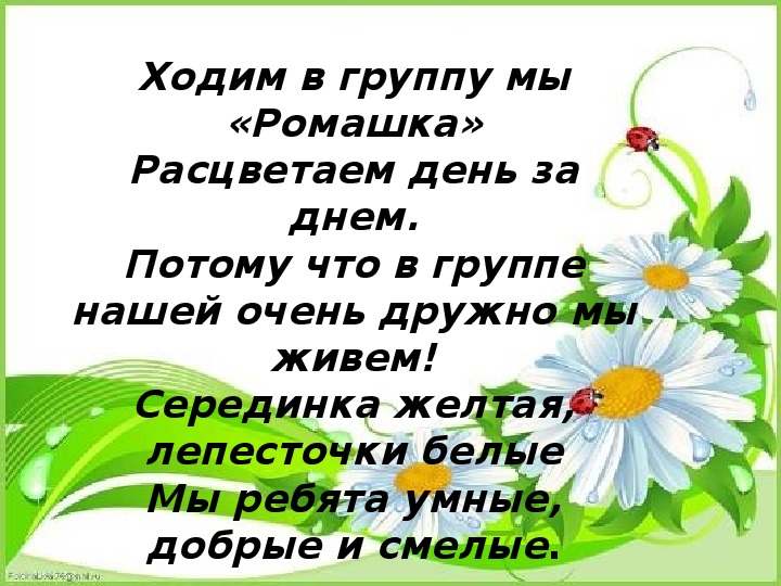 Песня детский сад ромашка. Девиз группы Ромашка. Девиз группы Ромашка в детском саду. Девиз ромашки. Отряд Ромашка девиз.