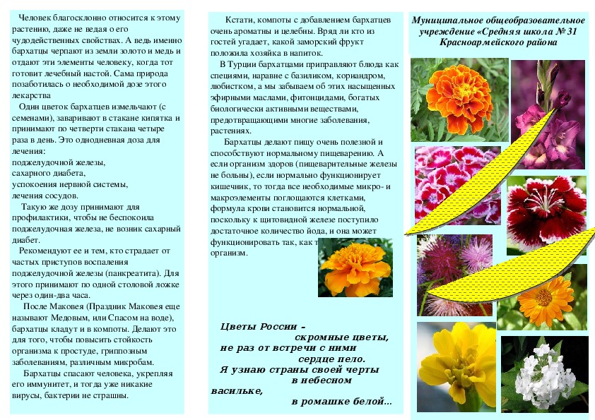 Буклет "Цветы России"