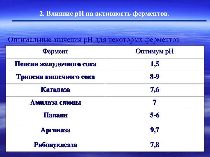 Презентация на тему ферменты 10 класс