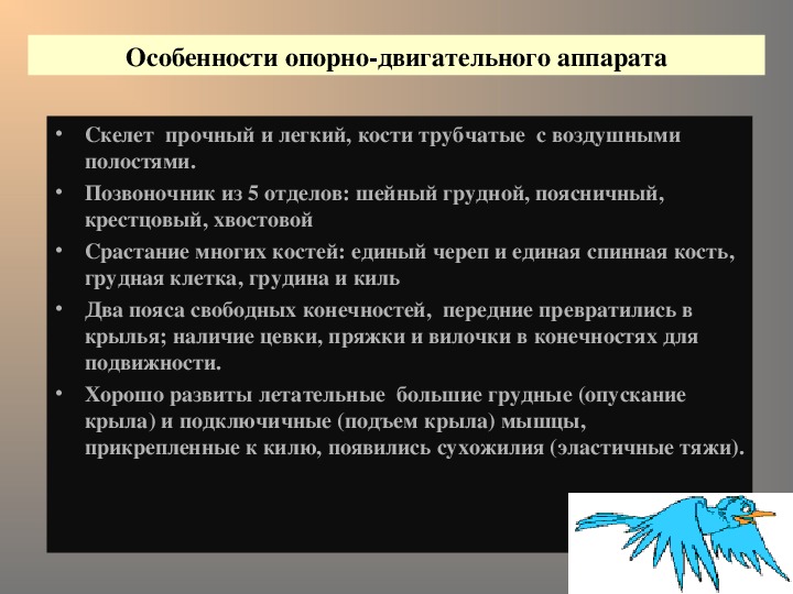 Ода человеку. Особенности опорно-двигательного аппарата. Особенности опорно-двигательного аппарата птицы. Особенности опорно двигательной системы птиц. Особенности оды.