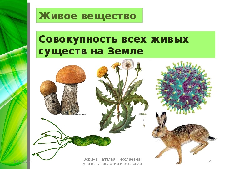 Совокупность условий в которых обитает живой организм. Живое вещество. Іивое вещество. Живые организмы (живое вещество).. Живое вещество совокупность всех живых организмов.