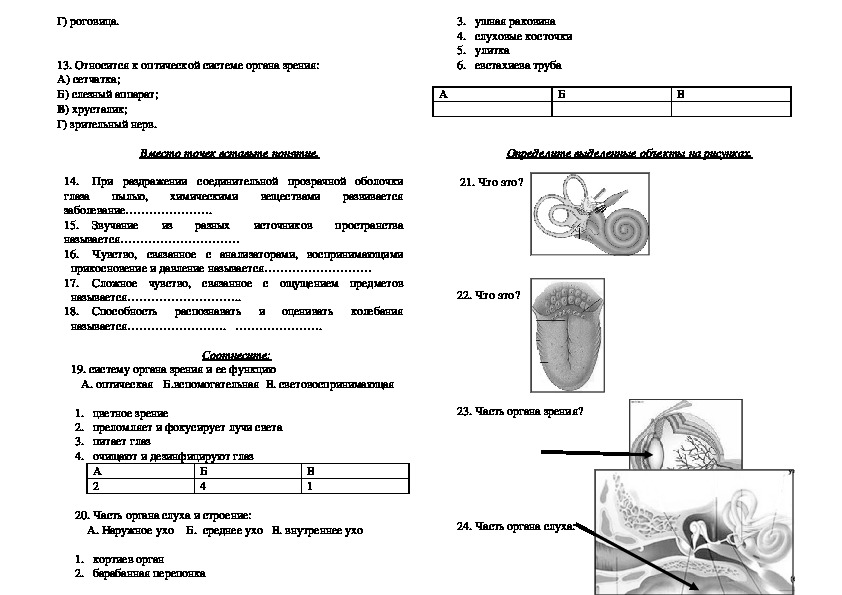 Анализаторы биология 8 класс