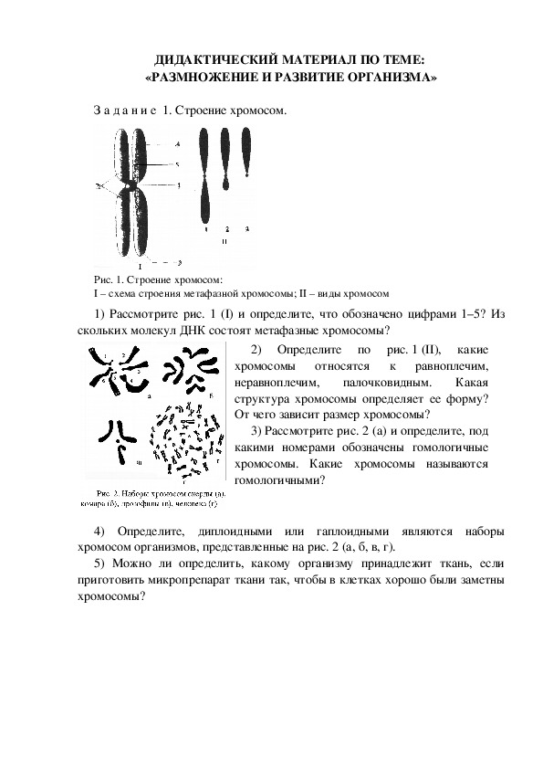 ДИДАКТИЧЕСКИЙ МАТЕРИАЛ ПО ТЕМЕ:  «РАЗМНОЖЕНИЕ И РАЗВИТИЕ ОРГАНИЗМА»
