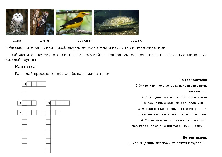 Классы животных кроссворд. Кроссворд по окружающему миру для 3 класса школа России. Кроссворд мир животных.