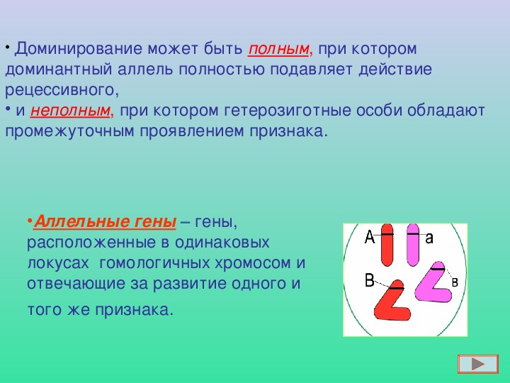 Презентация моногибридное скрещивание 10 класс биология