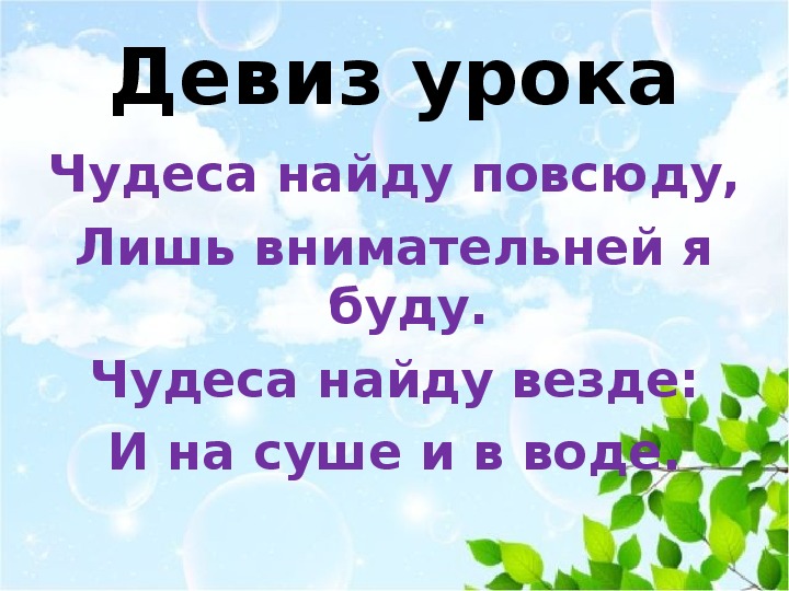 Презентация по окружающему миру на тему 