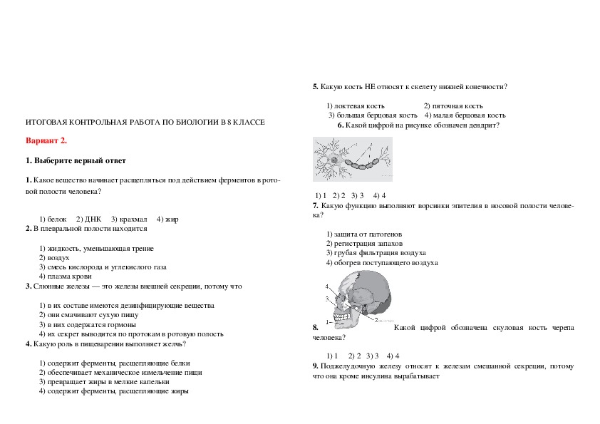Годовая контрольная работа по биологии 5 класс