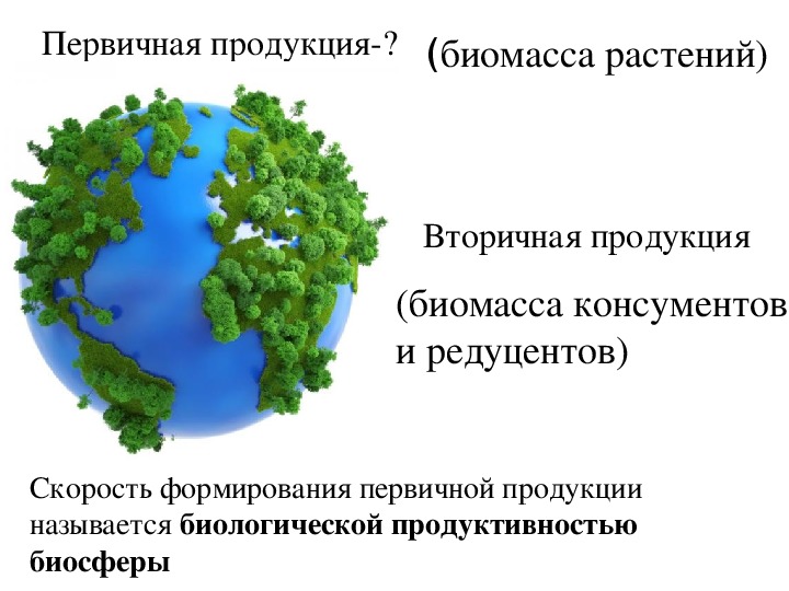 Вторичная продукция