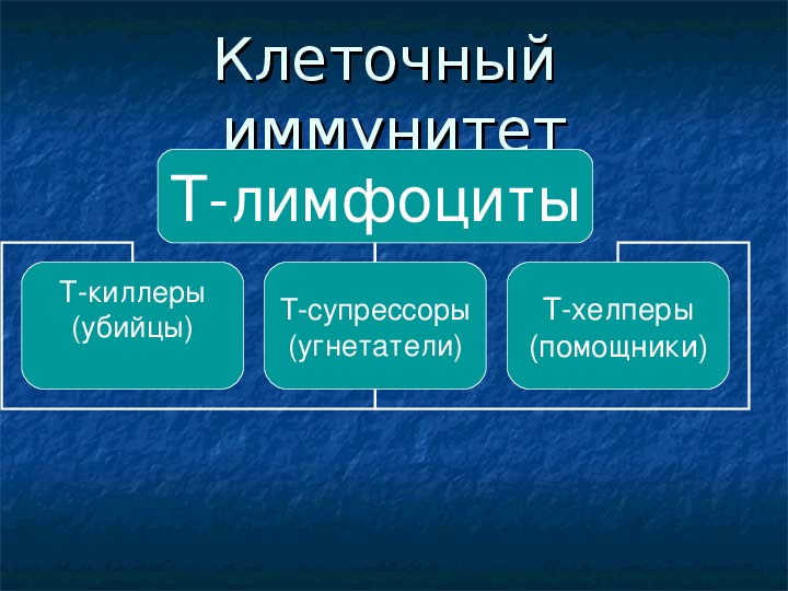 Иммунитет биология 8