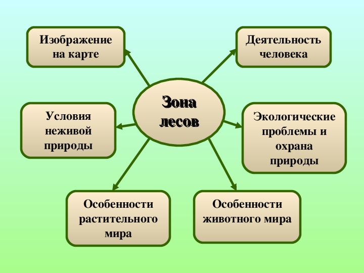 Особенности природы особенности деятельности человека