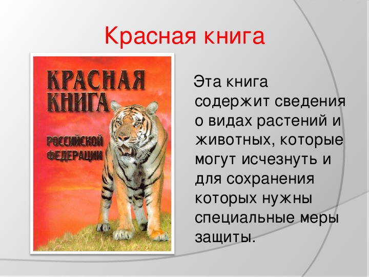 Охрана животных презентация 3 класс окружающий мир плешаков презентация