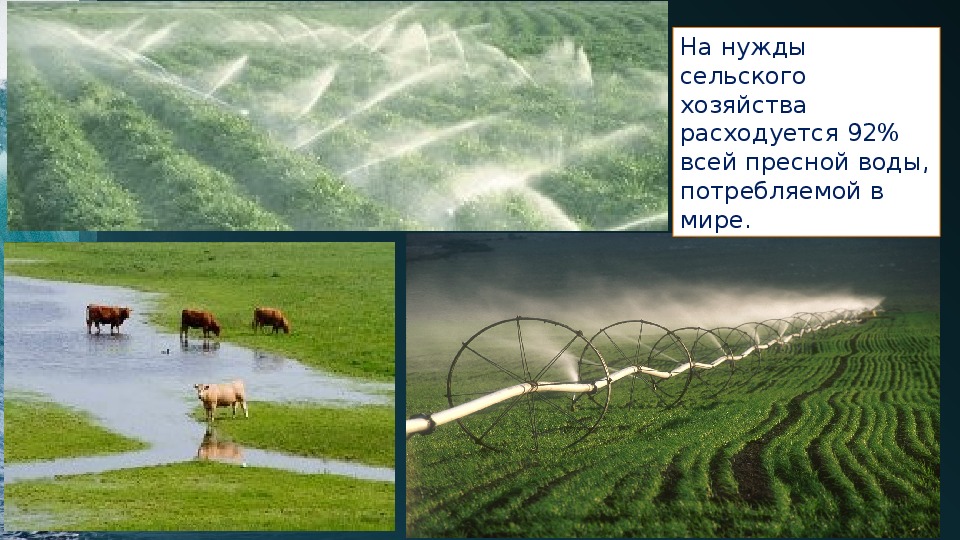 Сельская вода. Водопотребление в сельском хозяйстве. Потребление воды в сельском хозяйстве. Использование воды в сельском хозяйстве. Роль воды в сельском хозяйстве.