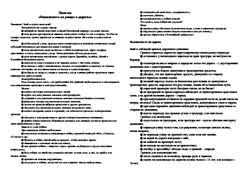 «Безопасность на улицах и дорогах»( 11 класс, беседа)