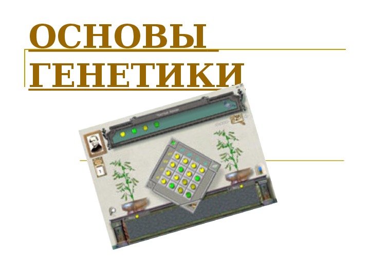 Презентация к уроку биологии "Основы генетики" 9 класс