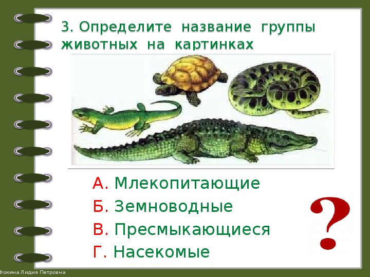 Земноводные проверочная работа 2 класс. Группы животных. Определите название группы животных по картинкам. Группы животных 2 класс окружающий мир. Какие бывают животные задания 2 класс.